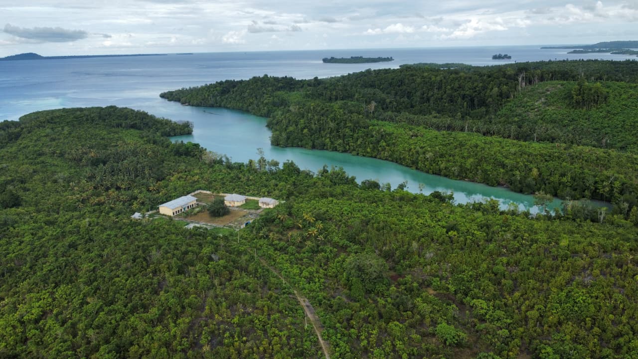 Aliran sungai dan hutan mangrove