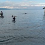 WhatsApp Image 2025-11-04 at 09.04.21 (17)